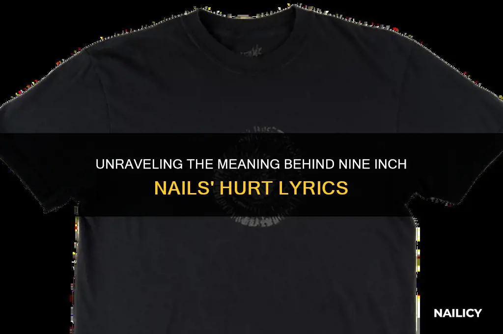 what is nine inch nails hirt about