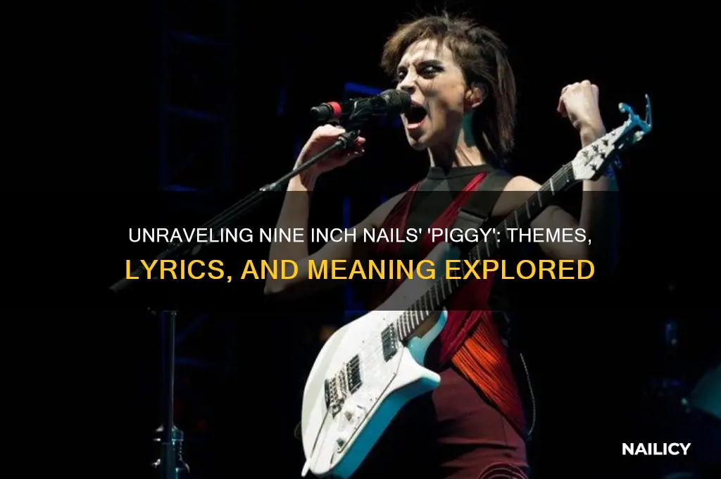 what is nine inch nails piggy about
