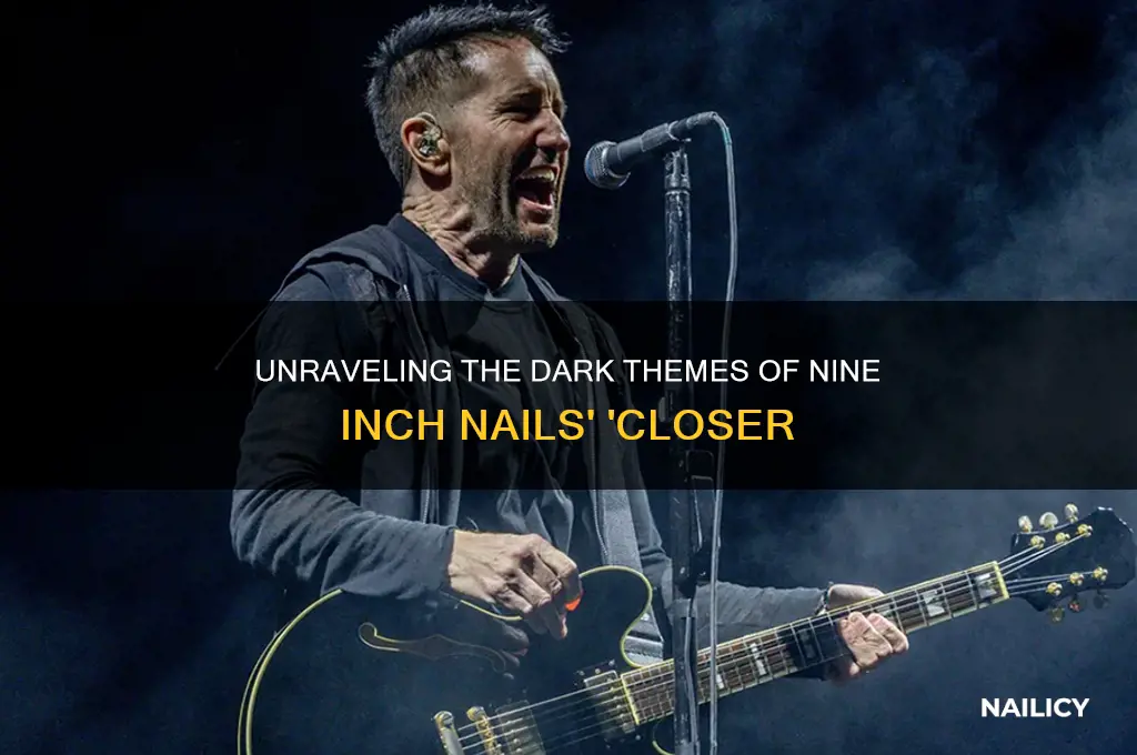 what is nine inch nails song closer about