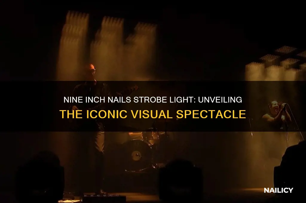 what is nine inch nails strobe light