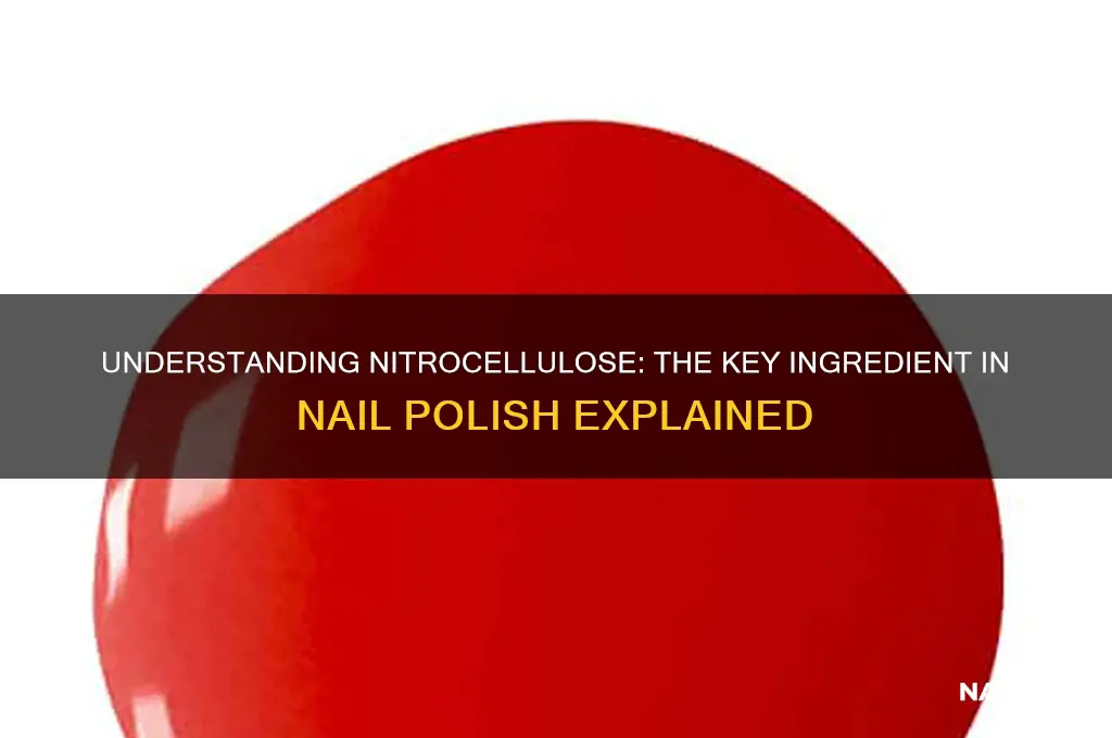 what is nitrocellulose in nail polish