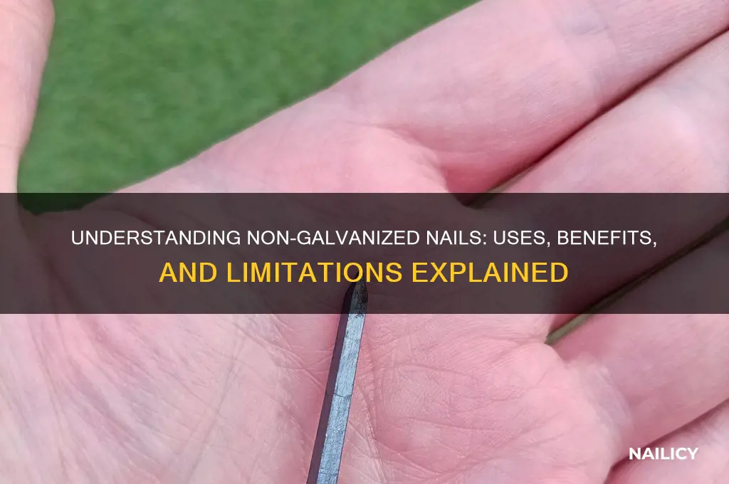what is non galvanized nails