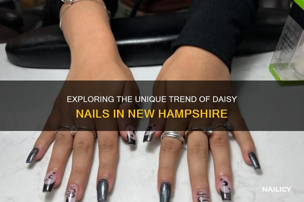 what is number of daisy nails new hampshire