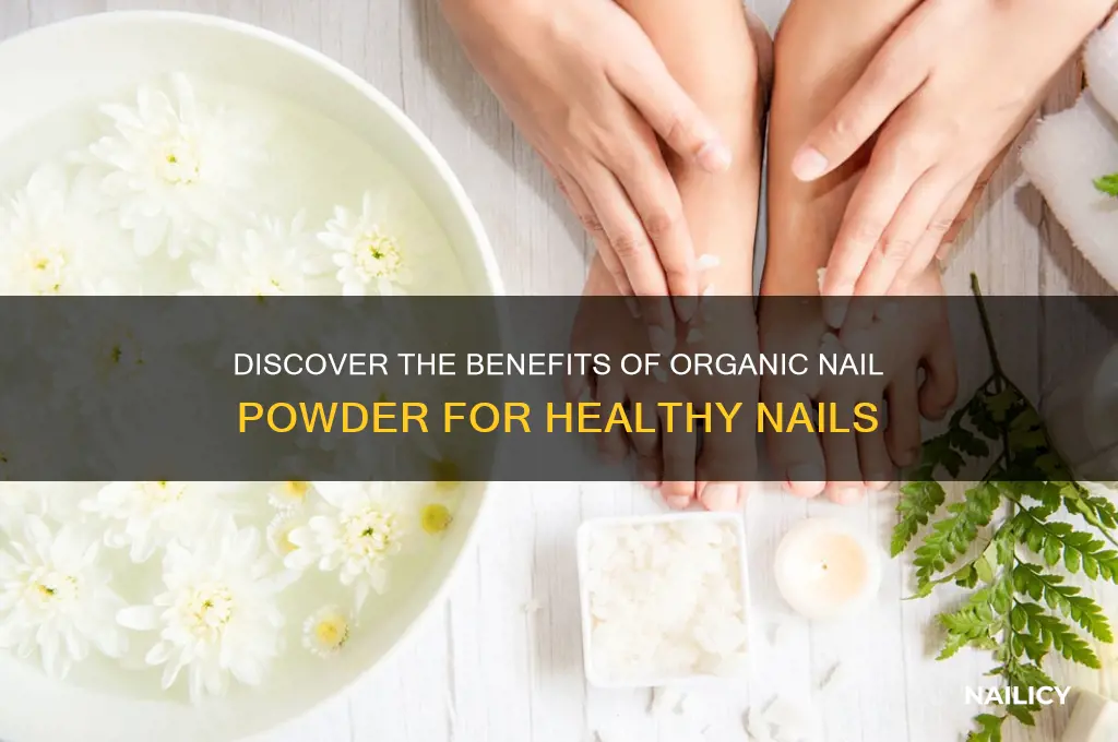what is organic nail powder