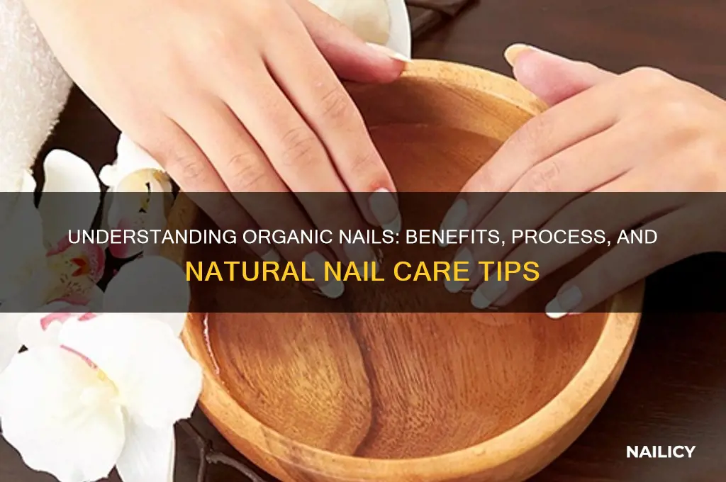 what is organic nails