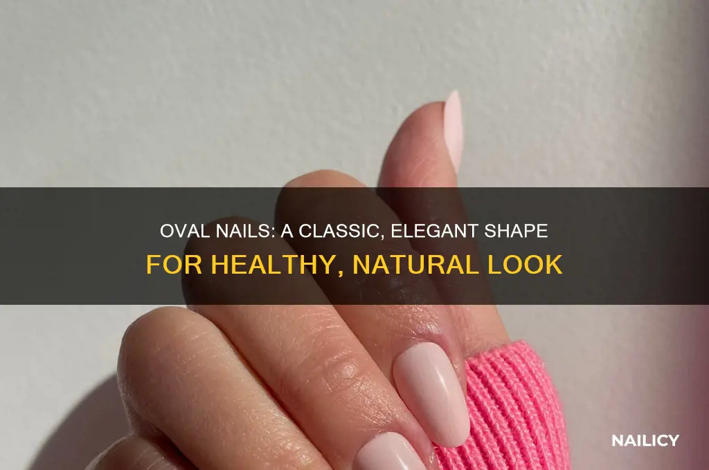 what is oval nails