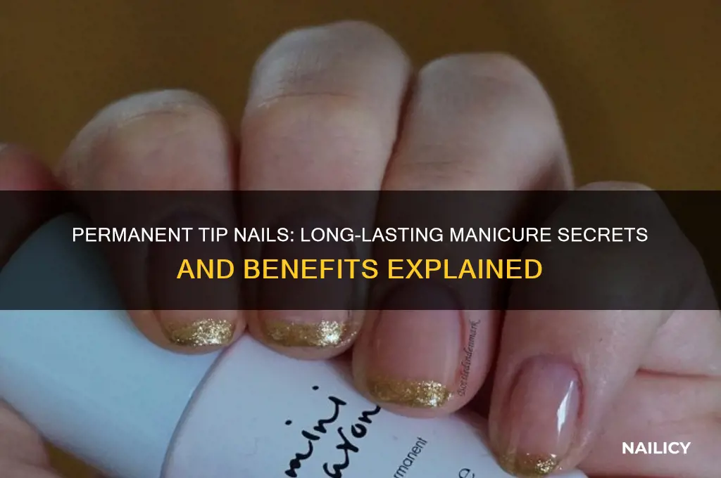 what is permanent tip nails