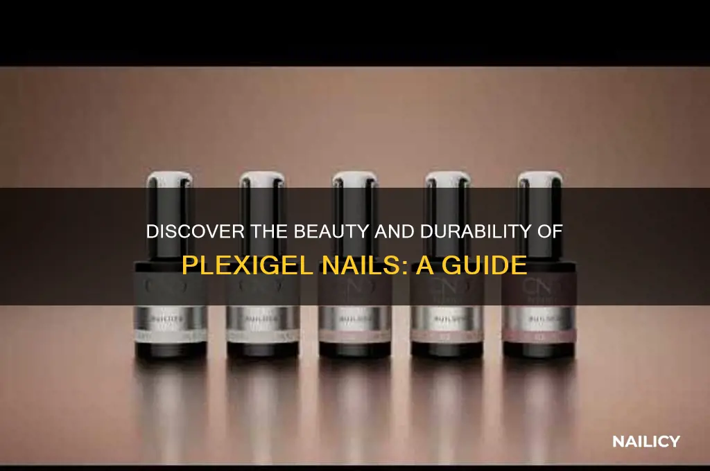 what is plexigel nails