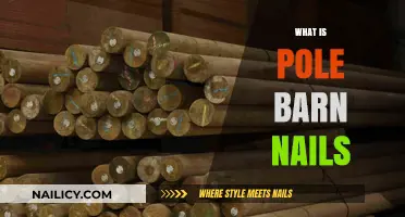 Understanding Pole Barn Nails: Types, Uses, and Best Practices