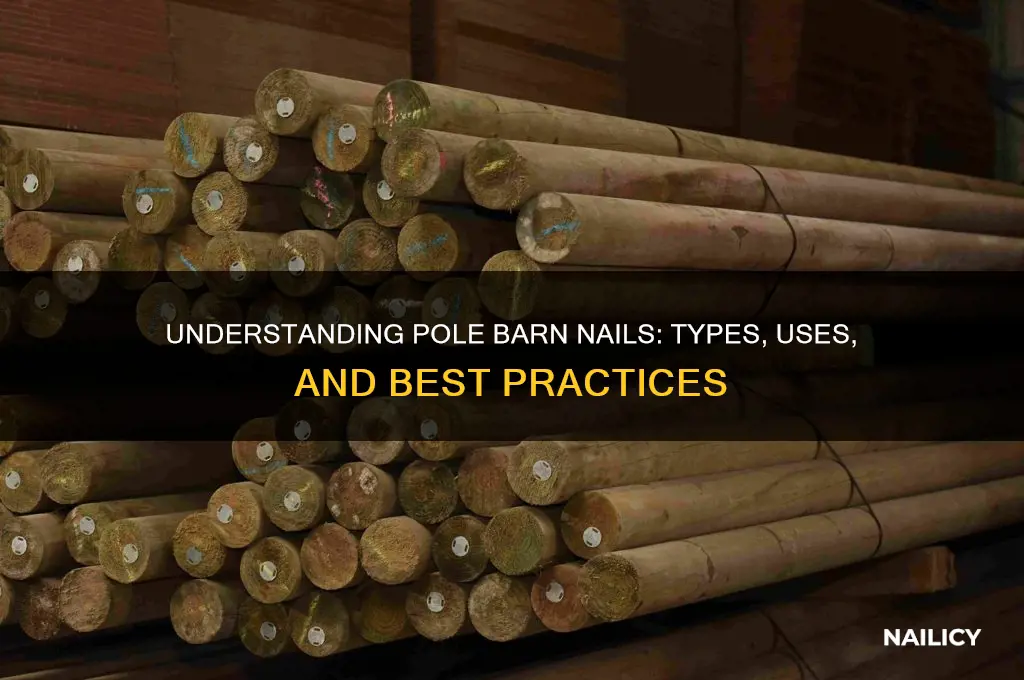 what is pole barn nails
