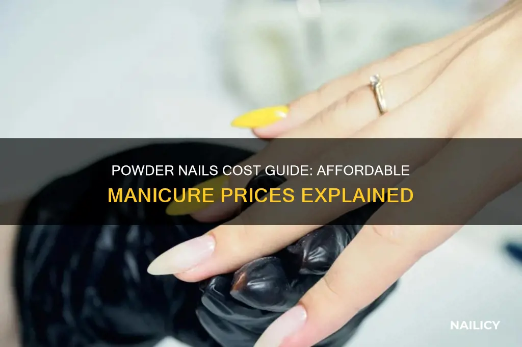 what is powder nails cost