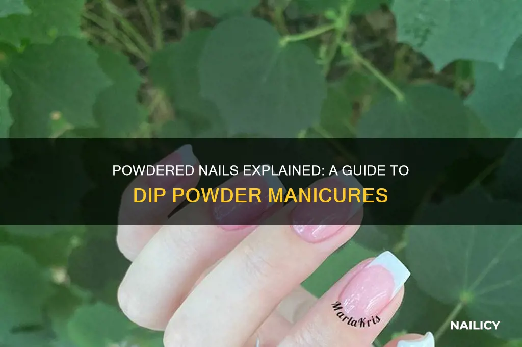 what is powdered nails