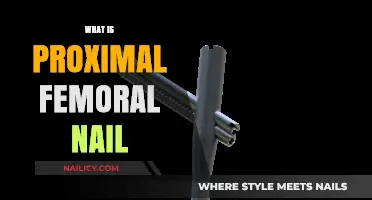 Understanding Proximal Femoral Nail: A Comprehensive Guide to Hip Fracture Treatment