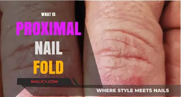 Understanding the Proximal Nail Fold: Structure, Function, and Clinical Significance