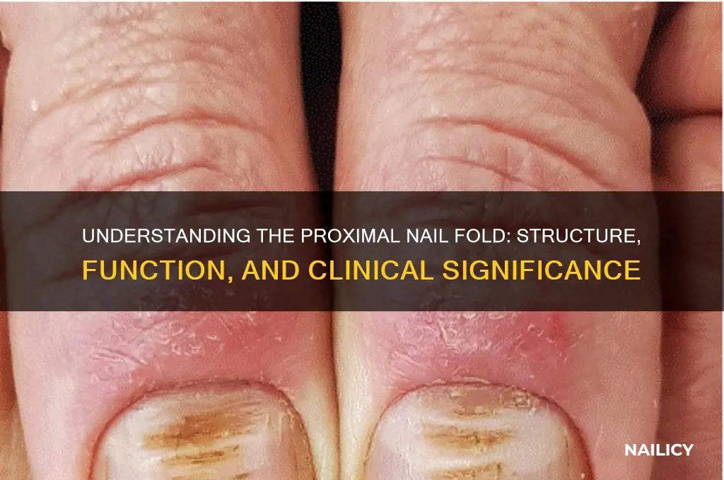 what is proximal nail fold