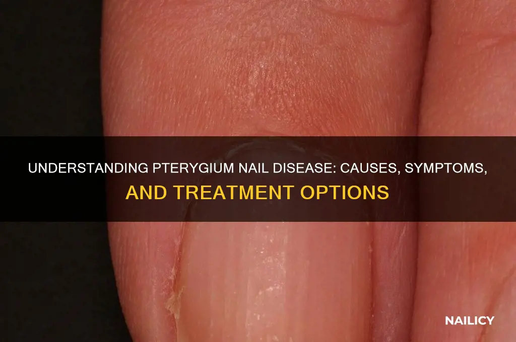 what is pterygium nail disease