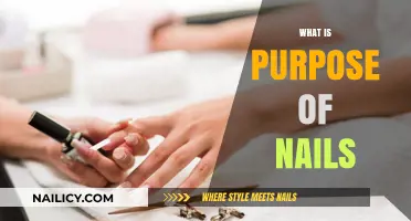 Understanding the Essential Purpose and Functions of Nails in Daily Life