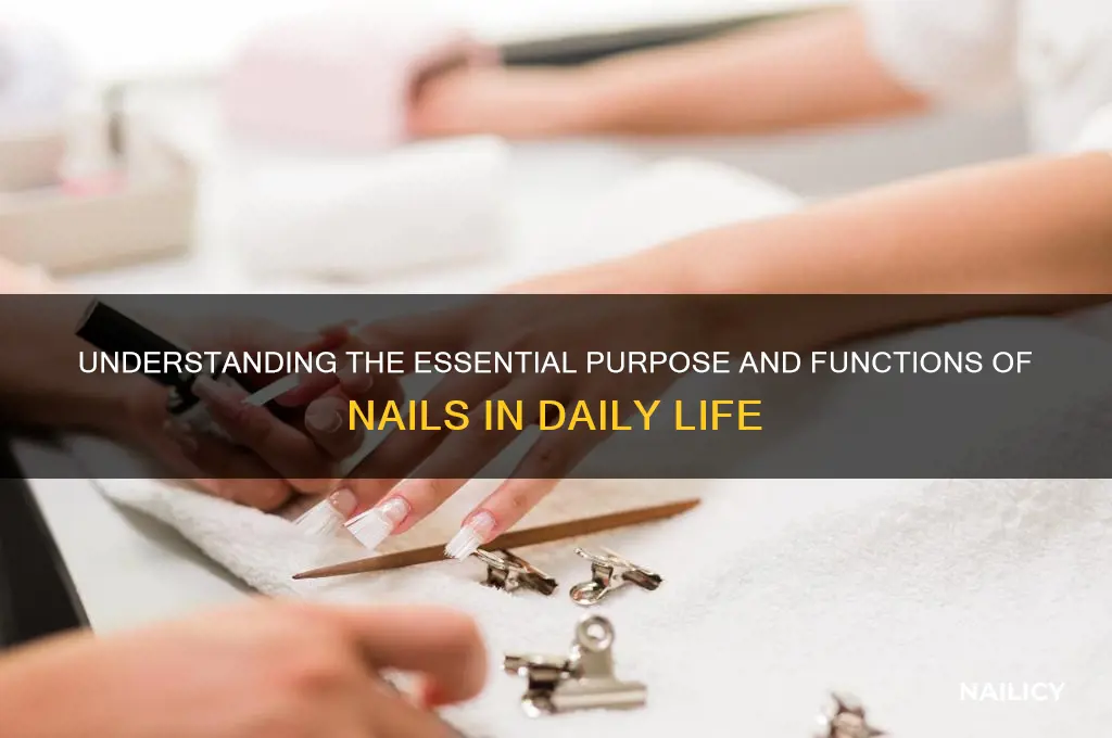 what is purpose of nails