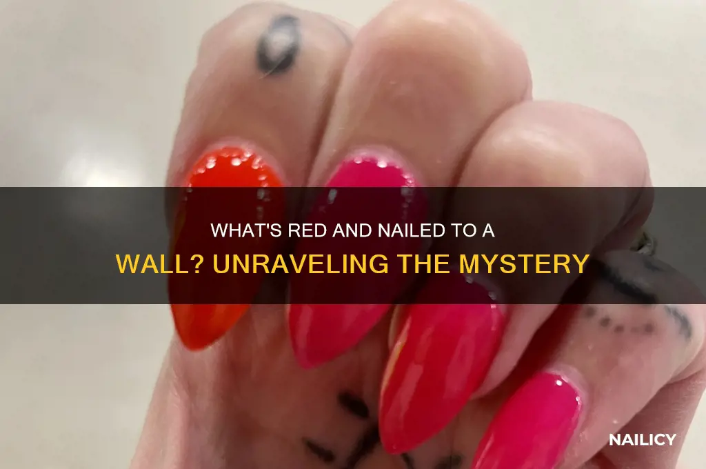 what is red and nailed to a wall