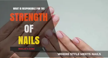 Understanding the Key Factors Behind Strong and Healthy Nails