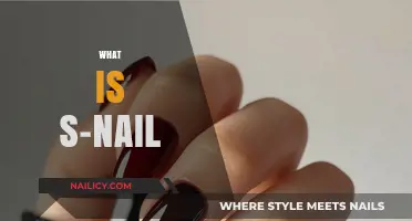 Discover the Surprising Benefits and Uses of S-Nail Today