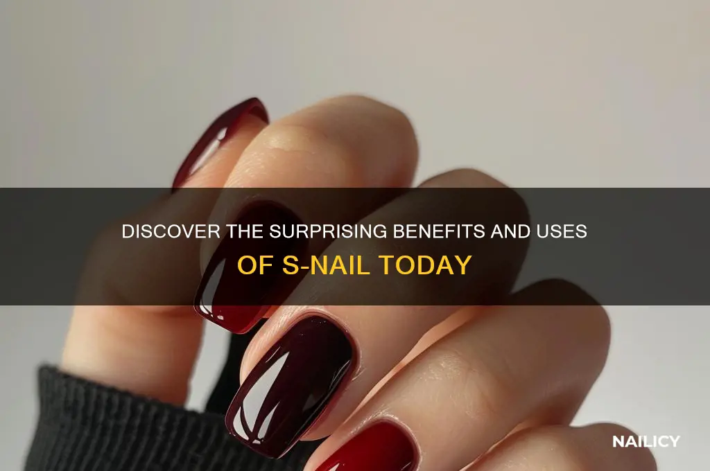 what is s-nail