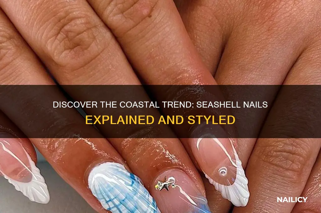 what is seashell nails