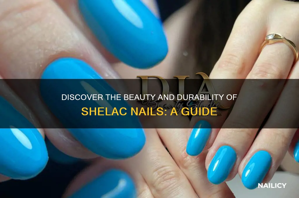 what is shelac nails