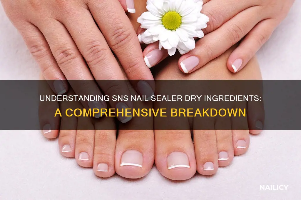 what is sns nail sealer dry made of