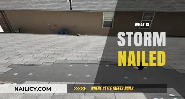 Understanding Storm Nailed: A Comprehensive Guide to Its Meaning and Uses