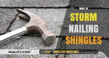 Storm Nailing Shingles: Essential Techniques for Durable Roof Protection