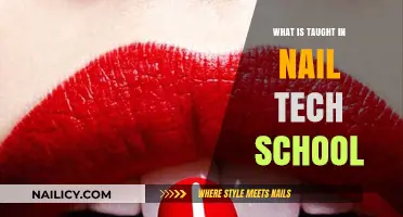 Mastering Nail Artistry: Curriculum Insights from Nail Tech School