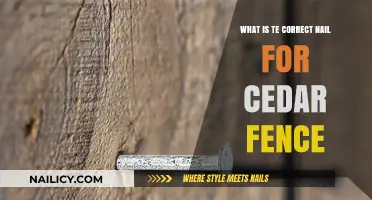 Choosing the Right Nails for Your Cedar Fence: A Complete Guide