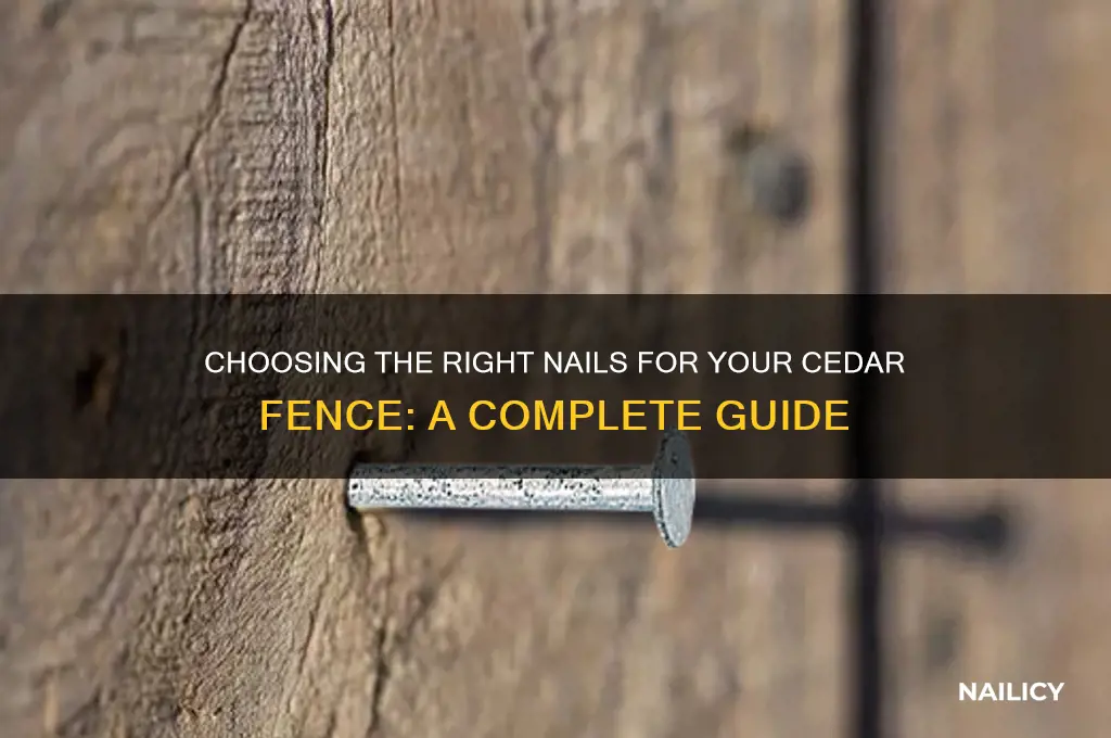 what is te correct nail for cedar fence