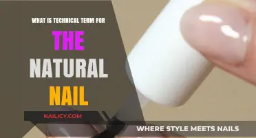 Understanding the Technical Term for the Natural Nail: A Comprehensive Guide