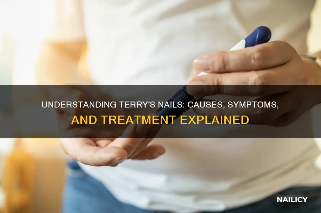 what is terrys nails