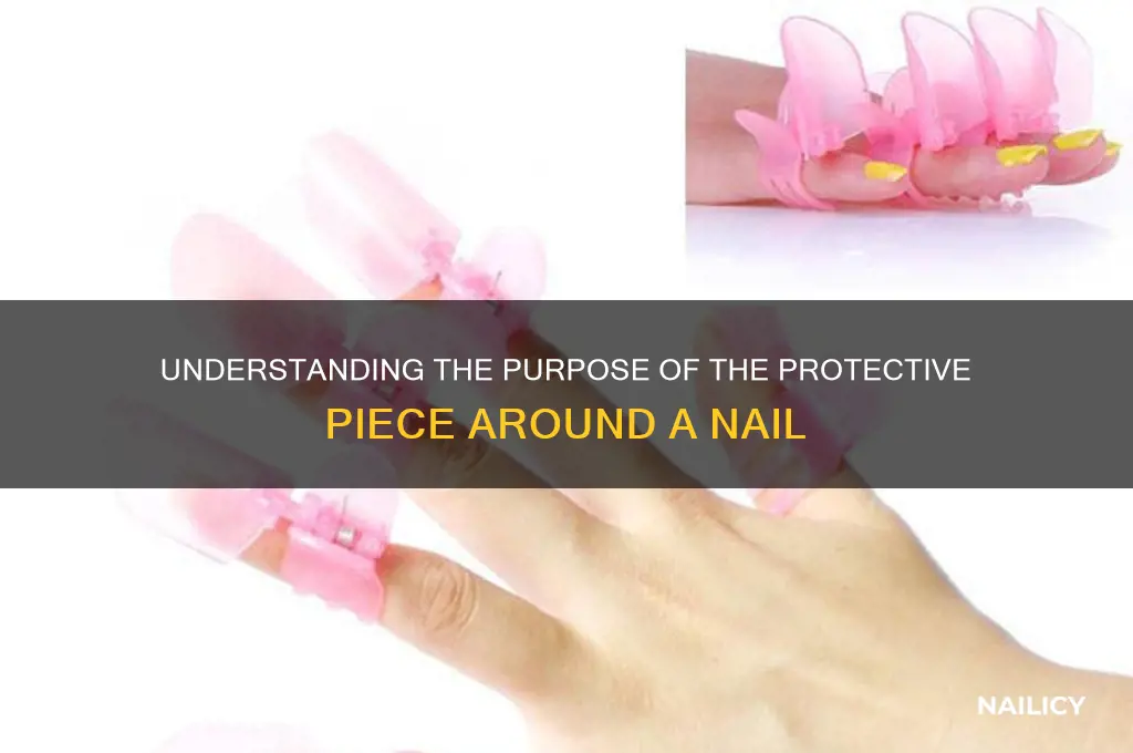 what is that piece around a nail
