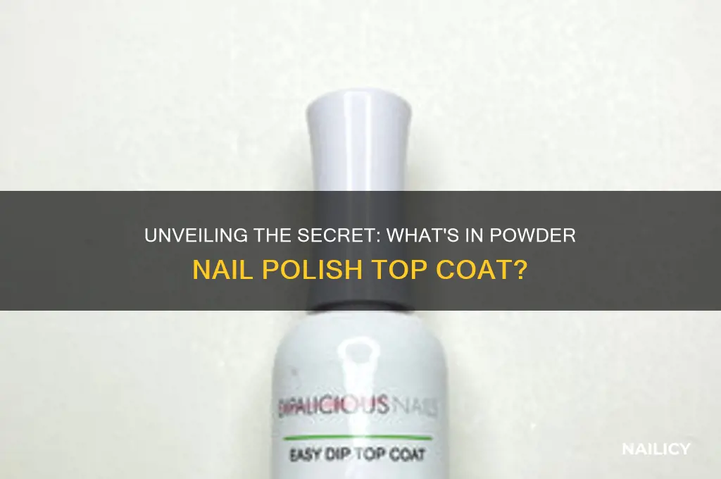 what is that stuff they put on powder nail polish