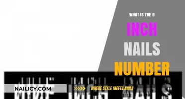 Unveiling the Mystery: Understanding the 9 Inch Nails Number