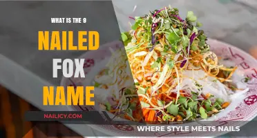 Unveiling the Mystery: The Nine-Nailed Fox's Legendary Name Explained