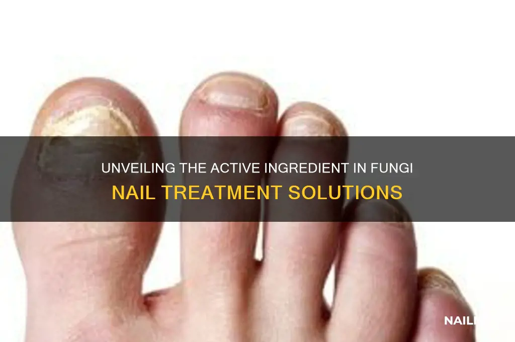 what is the active ingredient in fungi nail