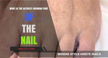 Nail Matrix: The Root of Nail Growth
