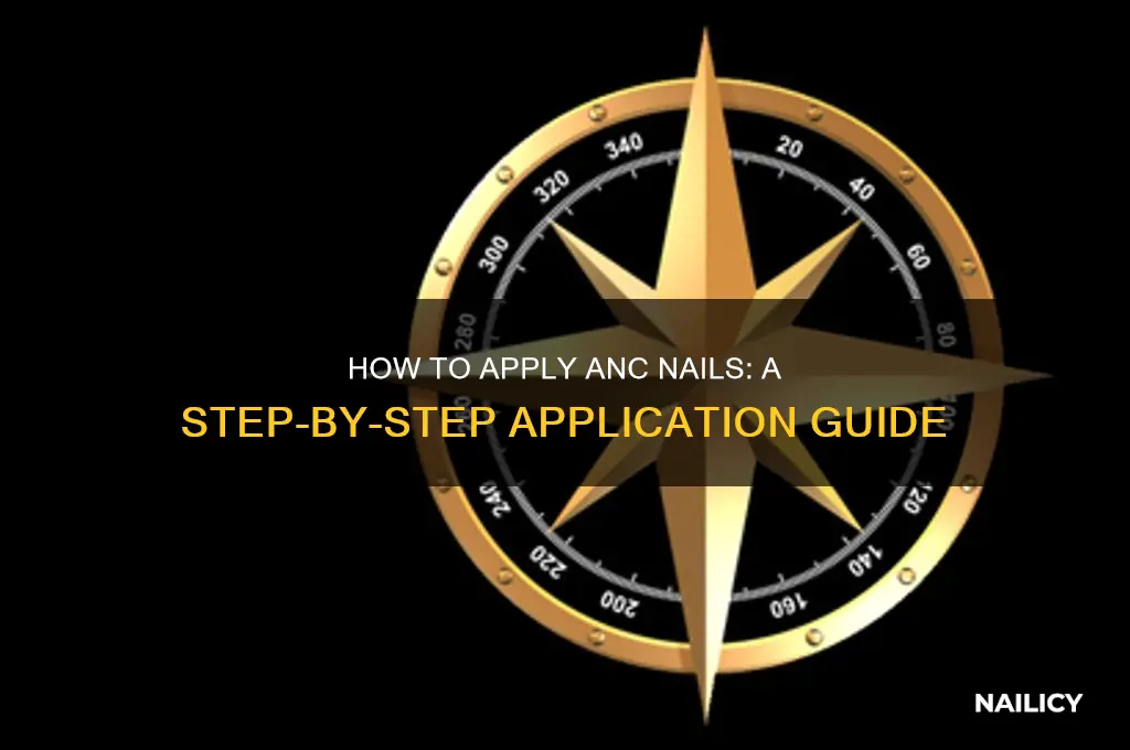what is the application process for anc nails