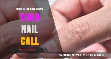 Understanding the Nail's Surrounding Area: What It's Called and Why It Matters