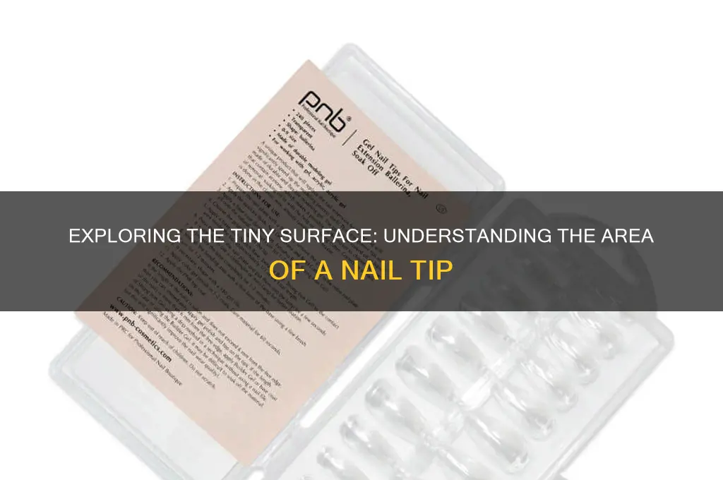 what is the area of a nail tip