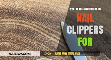 Nail Clipper Attachment: Its Surprising Purpose and How to Use It