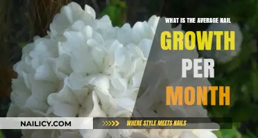 Understanding Monthly Nail Growth: Average Rates and Influencing Factors