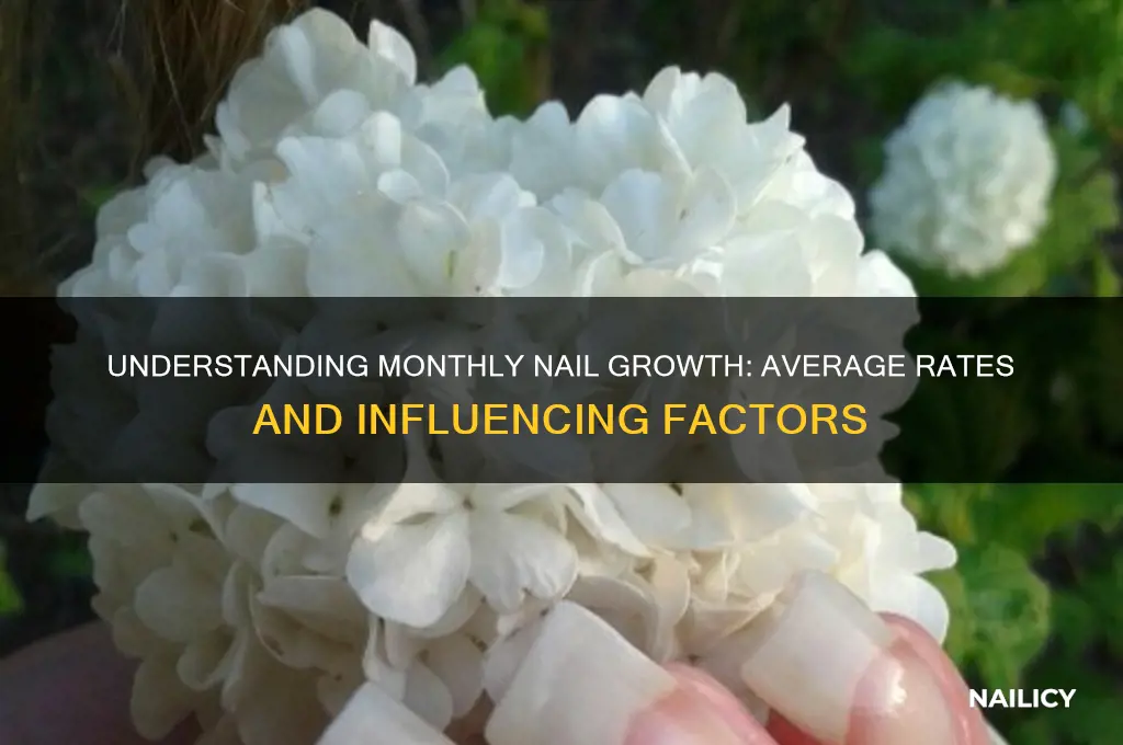 what is the average nail growth per month