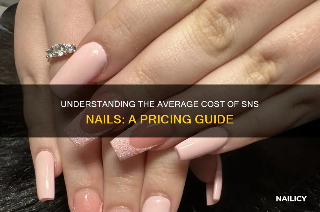 what is the average price for sns nails