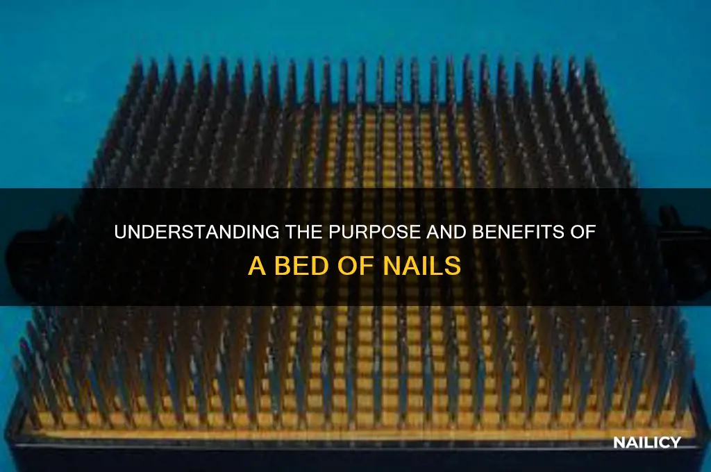 what is the bed of a nail